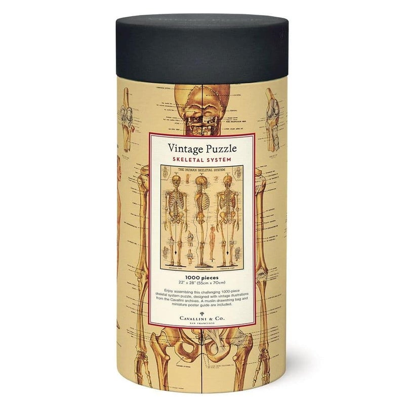 CAVANILLI & CO. Cavallini Papers & Co. Skeletal System 1,000 Piece Puzzle, Multi - Image 3